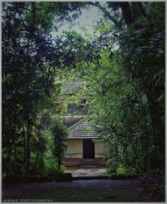 നിശബ്ദമായി ശബ്ദിച്ച ലോകം