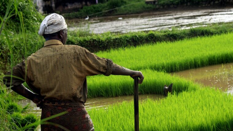 അവന്‍റെ പേര് കർഷകൻ