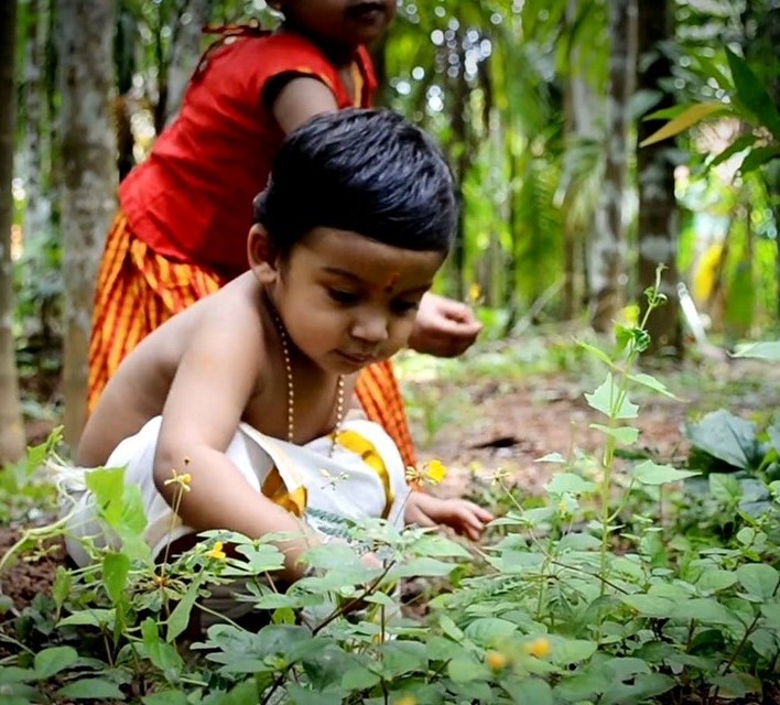 തൊടിയിലെ ഓണം