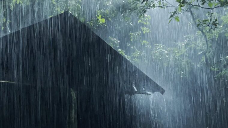 മഴ കഴിച്ച കാലം