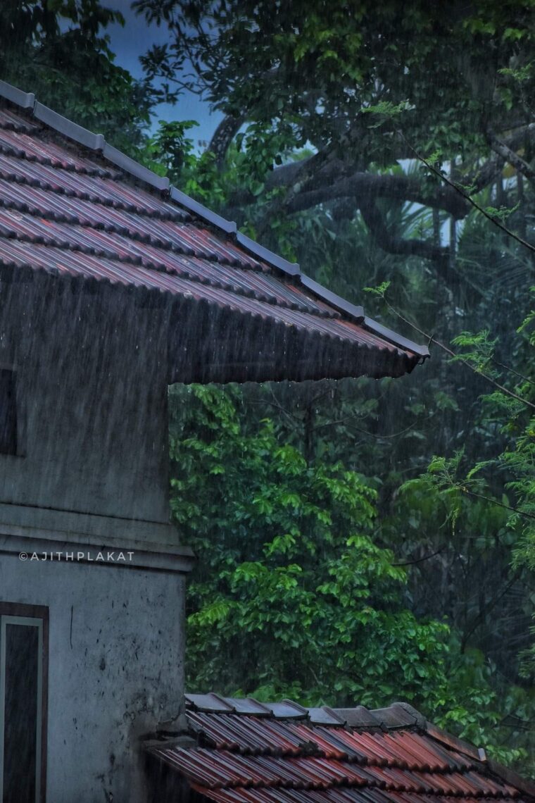 വിളി